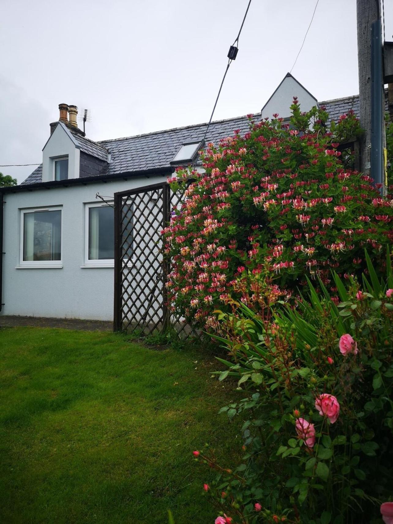 Mike'S 3-Bedroom Countryside Cottage Alness Eksteriør billede